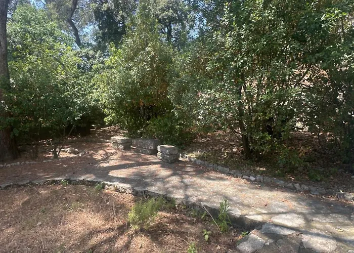 Independant Avec Parking בית הארחה נים